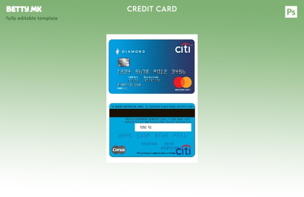 Модерен стил USA Citibank MasterCard шаблон